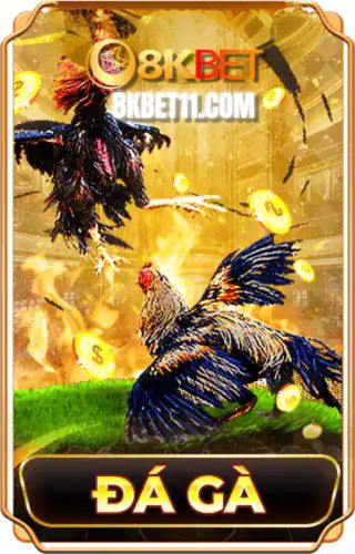 đá gà 8kbet