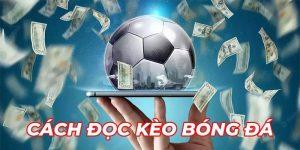 Giải đáp lý do tại sao phải nắm vững cách đọc kèo bóng đá 8kbet