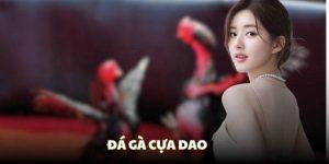 Đá gà cựa dao 8KBET | Đấu trường chọi gà đầy kịch tính
