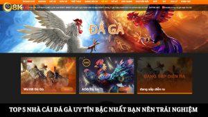 nhà cái đá gà uy tín